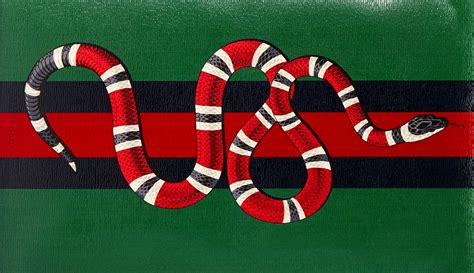 gucci snake specy|gucci snake meaning.